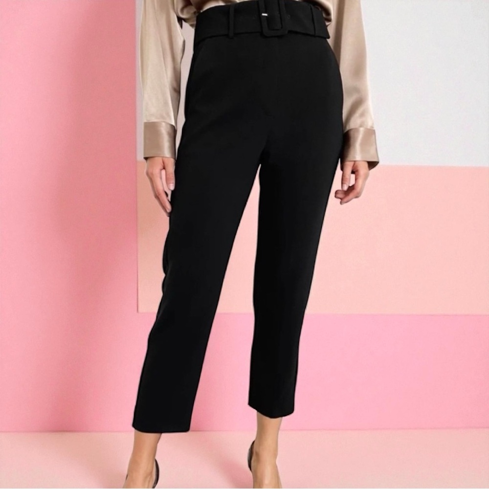 NWT Aritzia BABATON Mayne Belted Crop Trousers 12